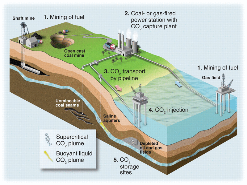 Carbon-capture-AUS-MN